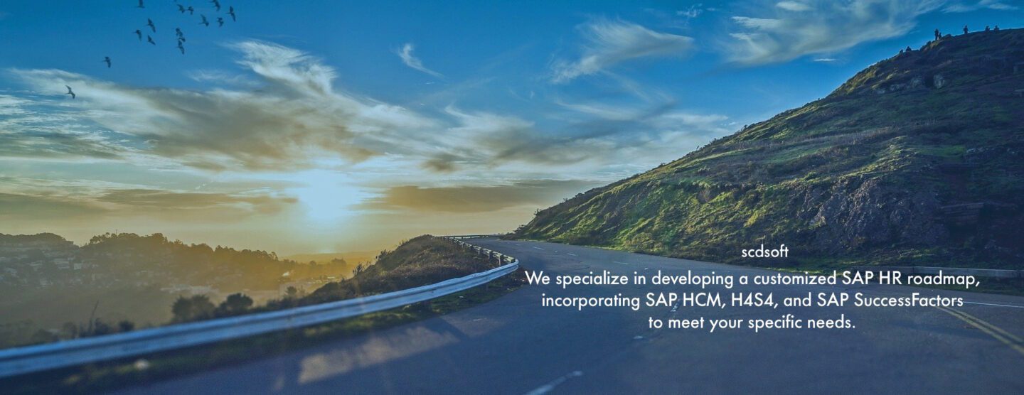 SAP hr strategy, SAP HCM, H4S4, HCM for S/4HANA, SuccessFactors, SAP HXM